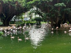 -九龙公园
