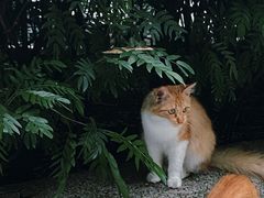 -烈士陵园(地铁站)