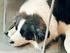 -Onirii Coffee(长乐路店)