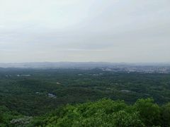 -紫金山天文台