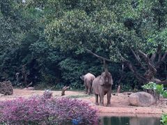 -广州长隆野生动物世界