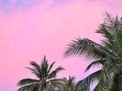 -麦哲伦丝绸度假村