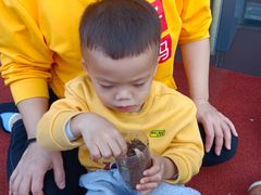 -狮子妈妈托育早教幼儿园(岳麓店)