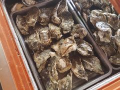 生蚝-土蚝·高压锅生蚝(百姓美食街店)