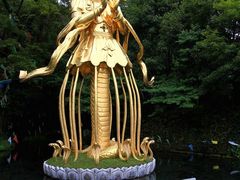 -丽江玉水寨