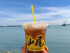 -汕尾风车岛
