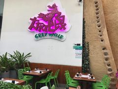 -大灰狼(中心书城店)