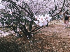 -吉林大学(南岭校区)