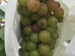 -美家乐农庄·露营·团建(大治路店)