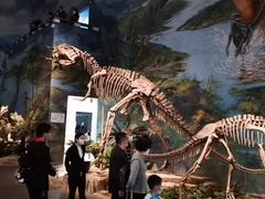 -自贡恐龙博物馆