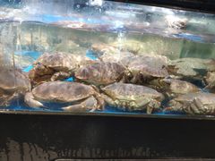 水产区-盒马鲜生(馥邦国际店)