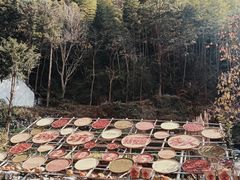 -林坑古村落