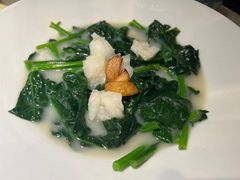 浓鸡汤鱼肚浸菠菜-陶陶居酒家(环市东店)