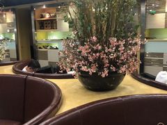 -黑松白鹿(崇文门新活馆店)