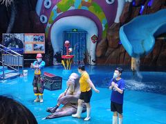 -烟台海昌鲸鲨海洋公园