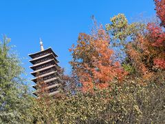 -牛首山文化旅游区