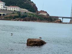 -摩天岭风景区