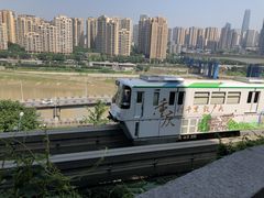 -李子坝梁山鸡(李子坝大鸡哥店)