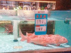 -阿伟海鲜楼·福建菜(延寿店)