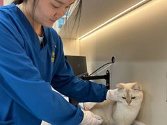 -御宝贝24h宠物医院·转诊中心·CT核磁血透中心(厦门总院)
