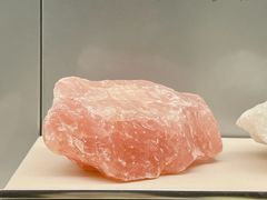 -中国地质博物馆