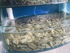 -蓝珊甄选海鲜自助·火锅大排档(近阿那亚店)