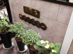 -小倩倩•鸡汤馄饨(江西路创始店)