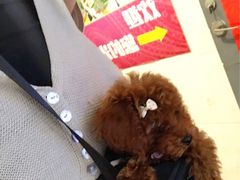 -星海汇海鲜自助烤肉火锅(百大店)