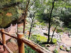 -碧峰峡风景区