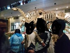 -自贡恐龙博物馆