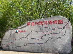 -茅兰沟国家森林公园