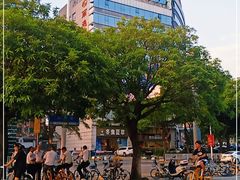 -丽逸酒店