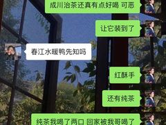 -成川茶店·潮汕工夫浓茶(万象店)