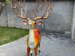 -北京野生动物园
