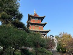 -迎泽公园