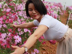 -松山湖梦幻百花洲