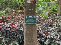 -广西壮族自治区药用植物园