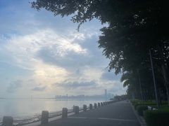 -深圳湾公园(南山区)