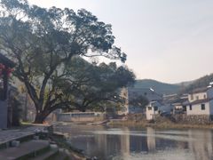 -鹿亭中村
