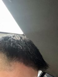 -东方麒麟·潘多拉SALON