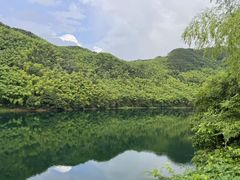 -四明山国家森林公园