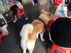 -肖胖子猪油拌粉