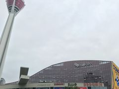 -339旋转餐厅(天府熊猫塔店)