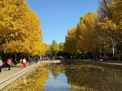 -玲珑塔公园