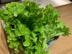 生菜-AJIYA·池袋日式烧肉自助(天津万象城店)
