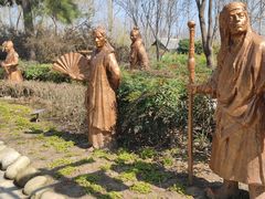 -合肥滨湖国家森林公园