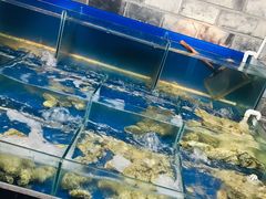 水产区-西街夜油条·麻团包乌饭