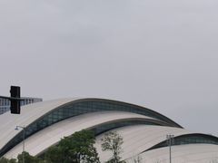 -合肥大剧院