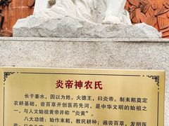 -广州神农草堂中医药博物馆