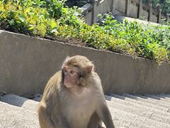 -苏州上方山国家森林公园